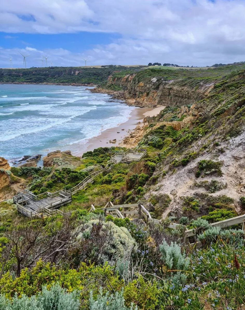 Cape Nelson State Park: A Hidden Coastal Gem