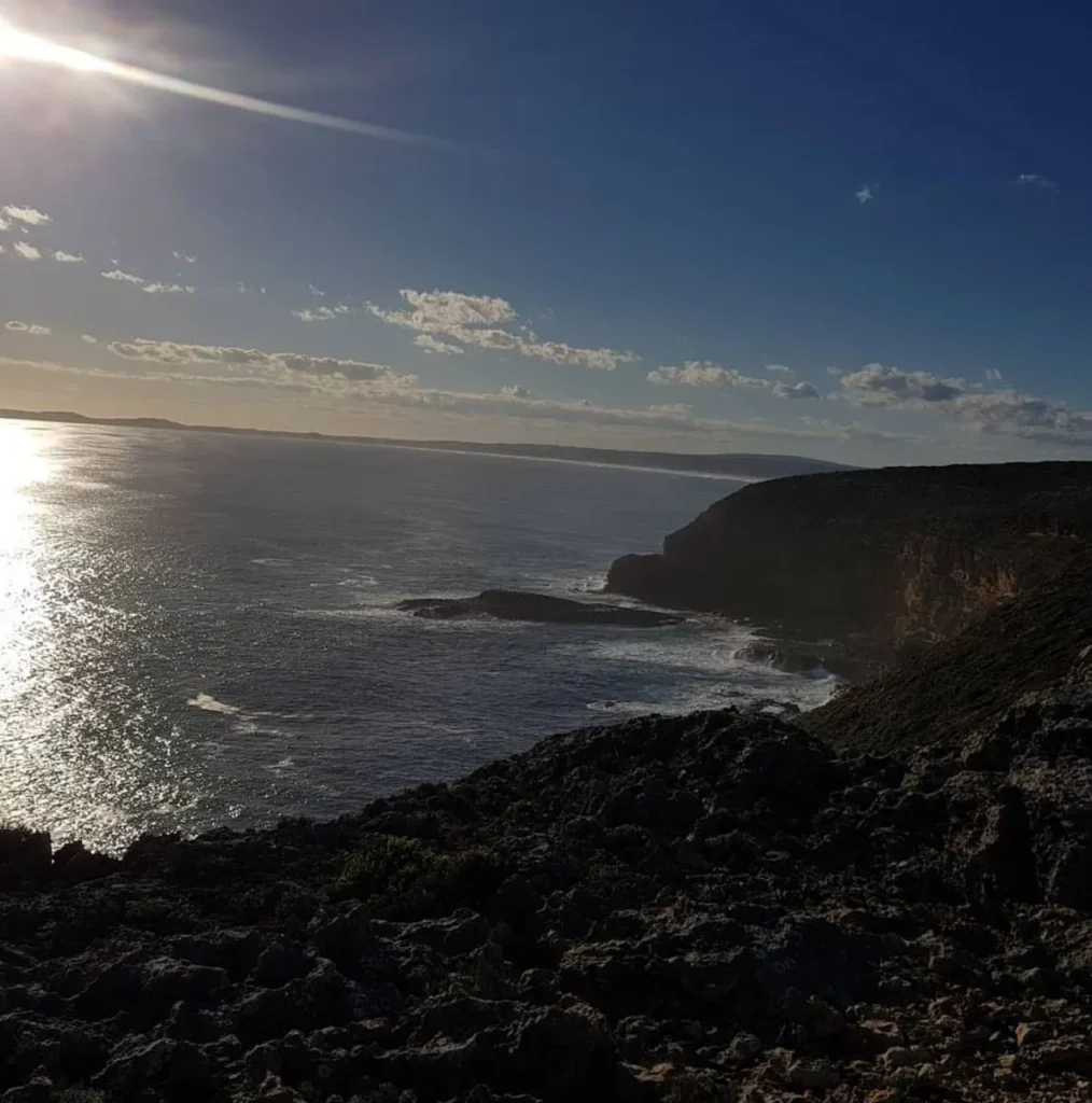 Great Ocean Road trips