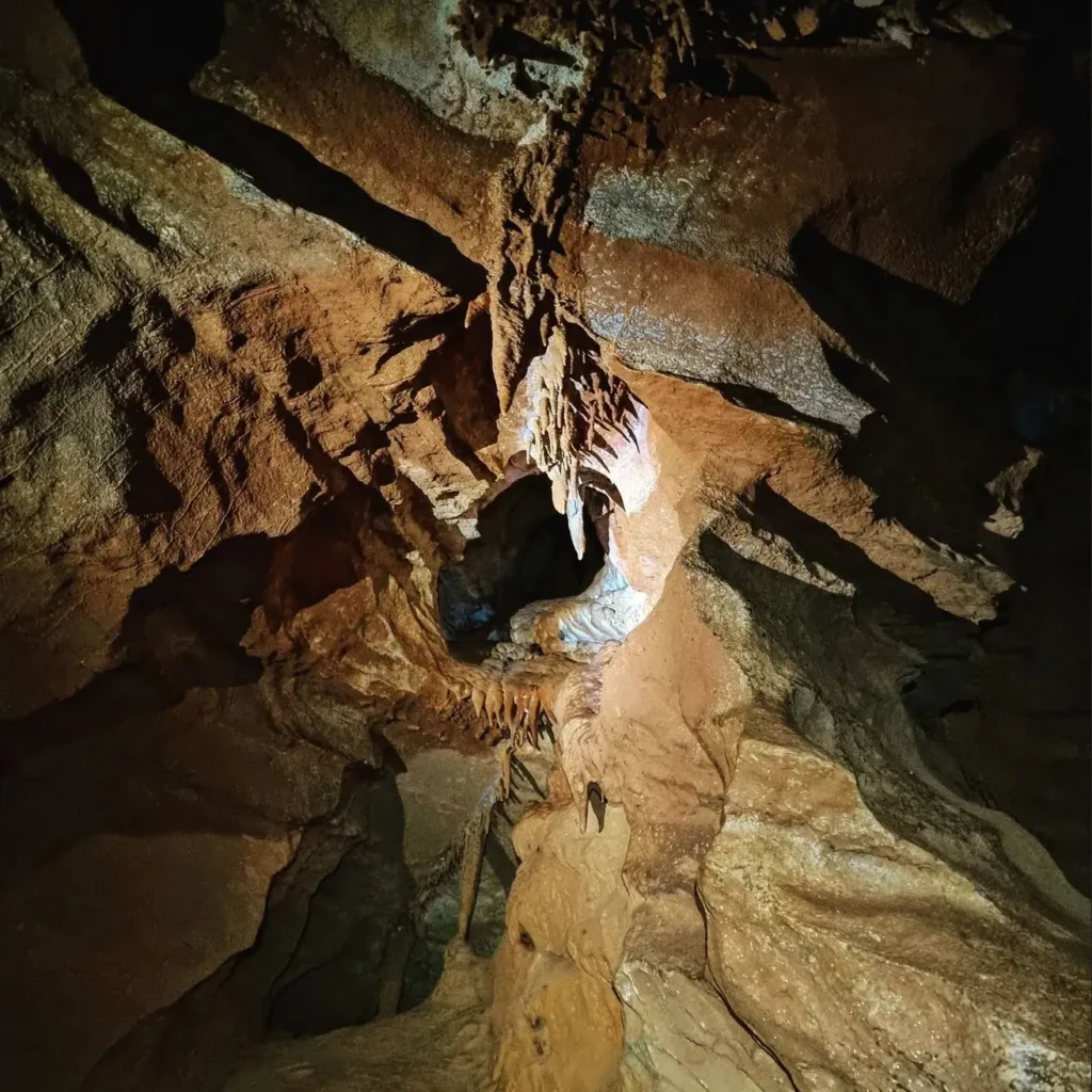 Jenolan Caves