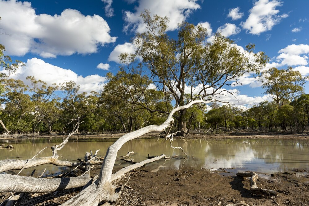 Explore the Wonders of Kakadu: Australia’s Ultimate Wilderness Adventure